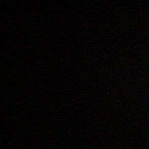 Meet your Posher, Darrina